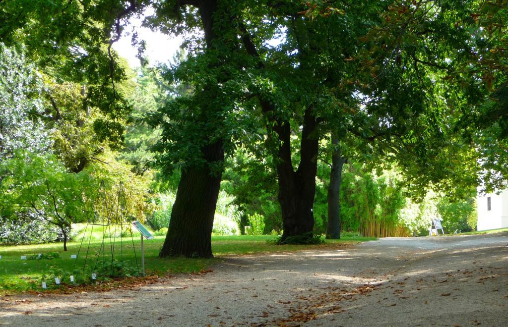 Streetview Wien - Premium Apartment Beim Belvedere Eksteriør billede
